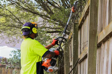 fence line clearing cost